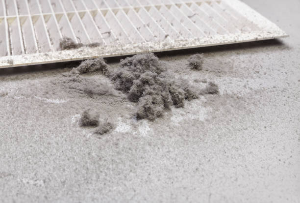 Best Air Duct Cleaning Near Me in Van Buren, MO