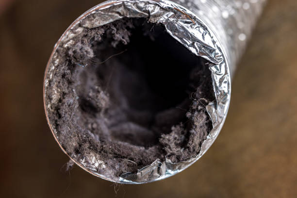 Best General Air Duct Cleaning  in Van Buren, MO