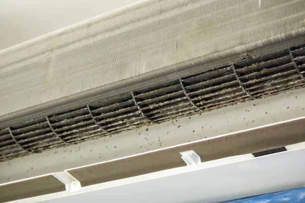 Best Affordable HVAC Duct Cleaning  in Van Buren, MO